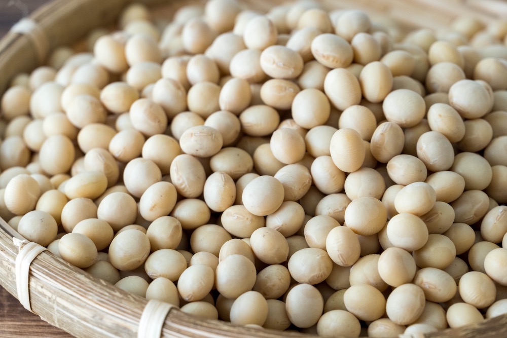 コンセプト画像3