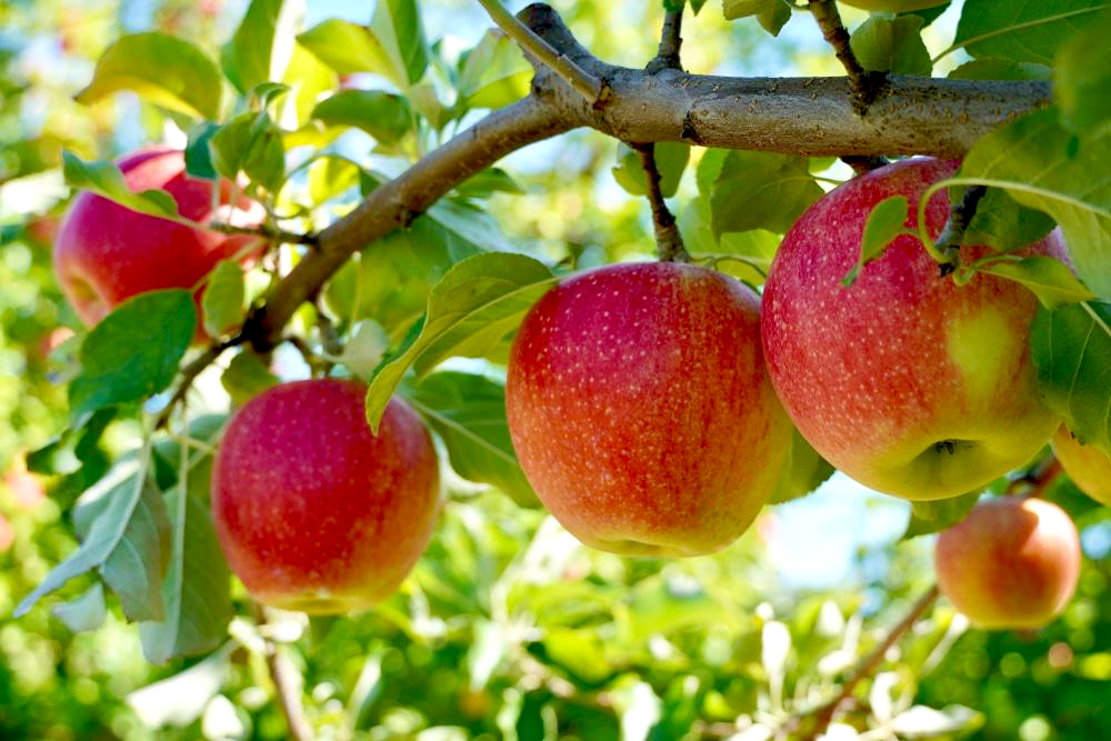 コンセプト画像1