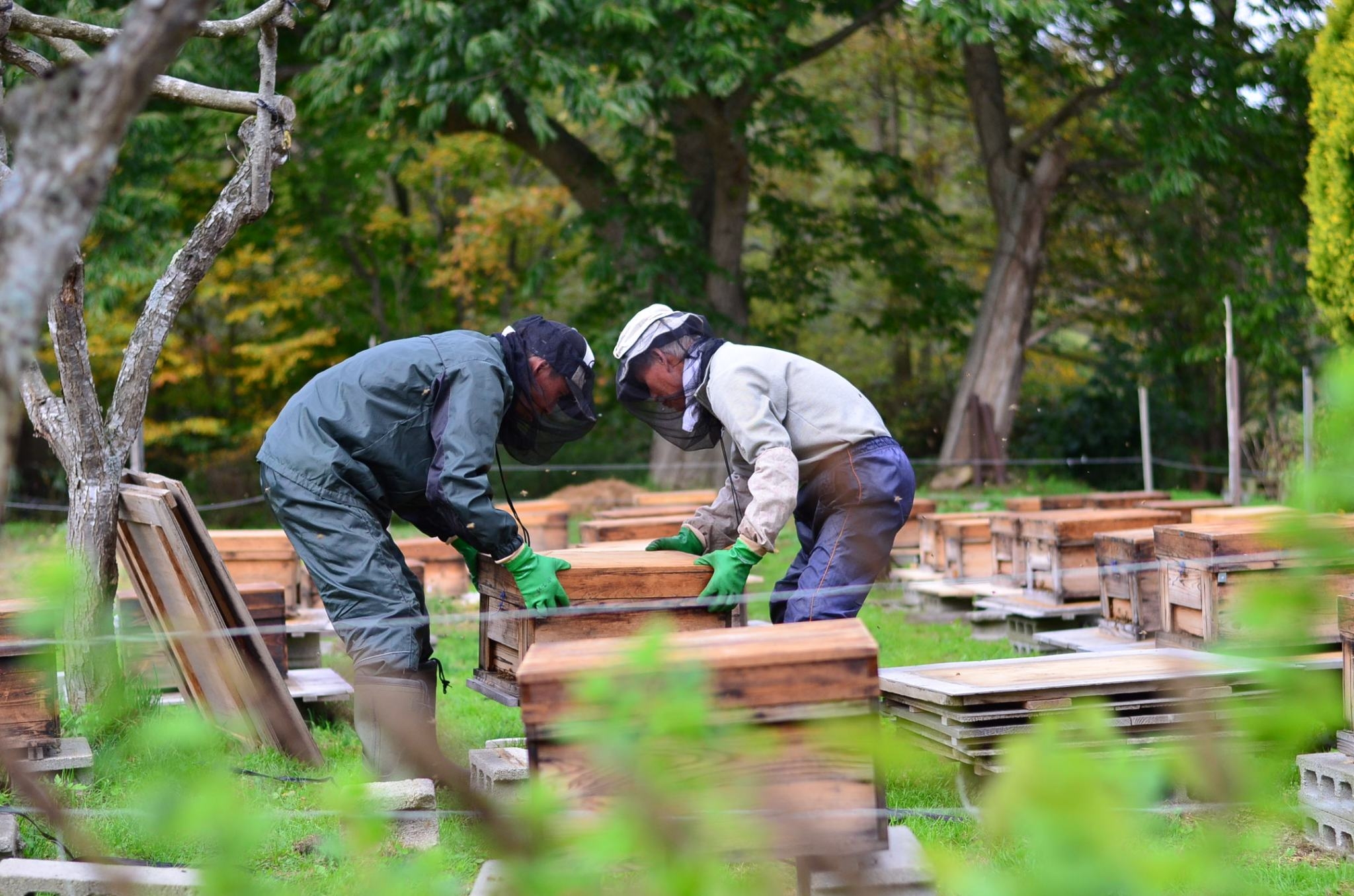 大沼ガロハーブガーデン