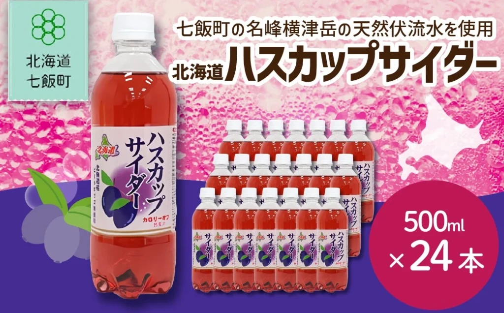 【先行予約】ハスカップサイダー24本（500mlペットボトル）